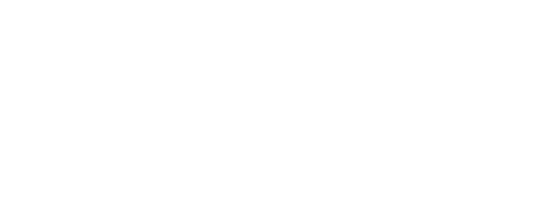 light logo